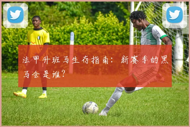 法甲升班马生存指南:新赛季的黑马会是谁?